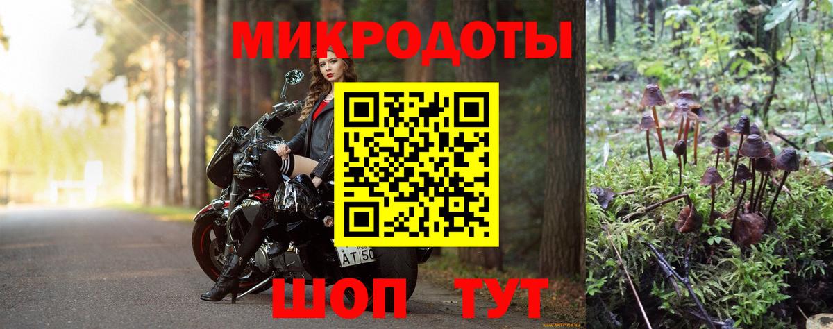 Галлюциногенные грибы прущие грибы Бахчисарай
